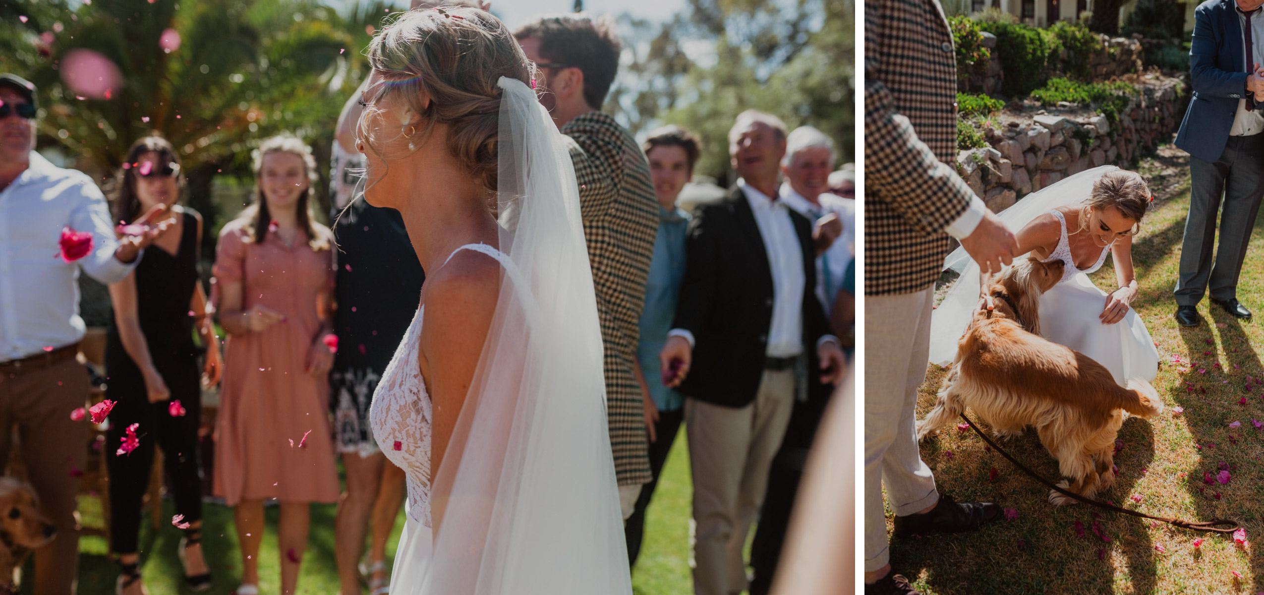 Cape Town Wedding Photographer