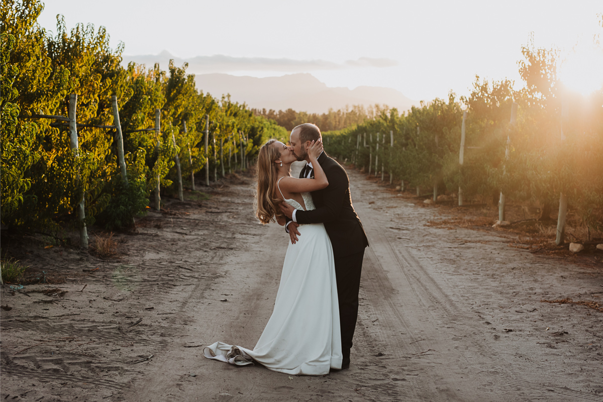 Olive Rock Wedding